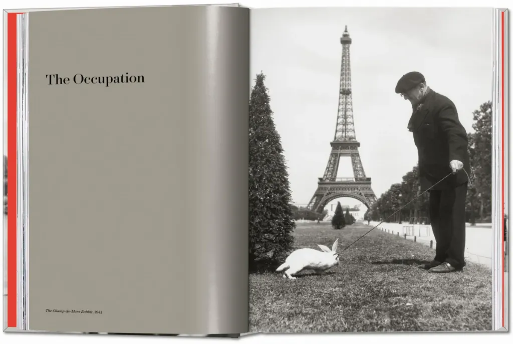 ROBERT 5.webp