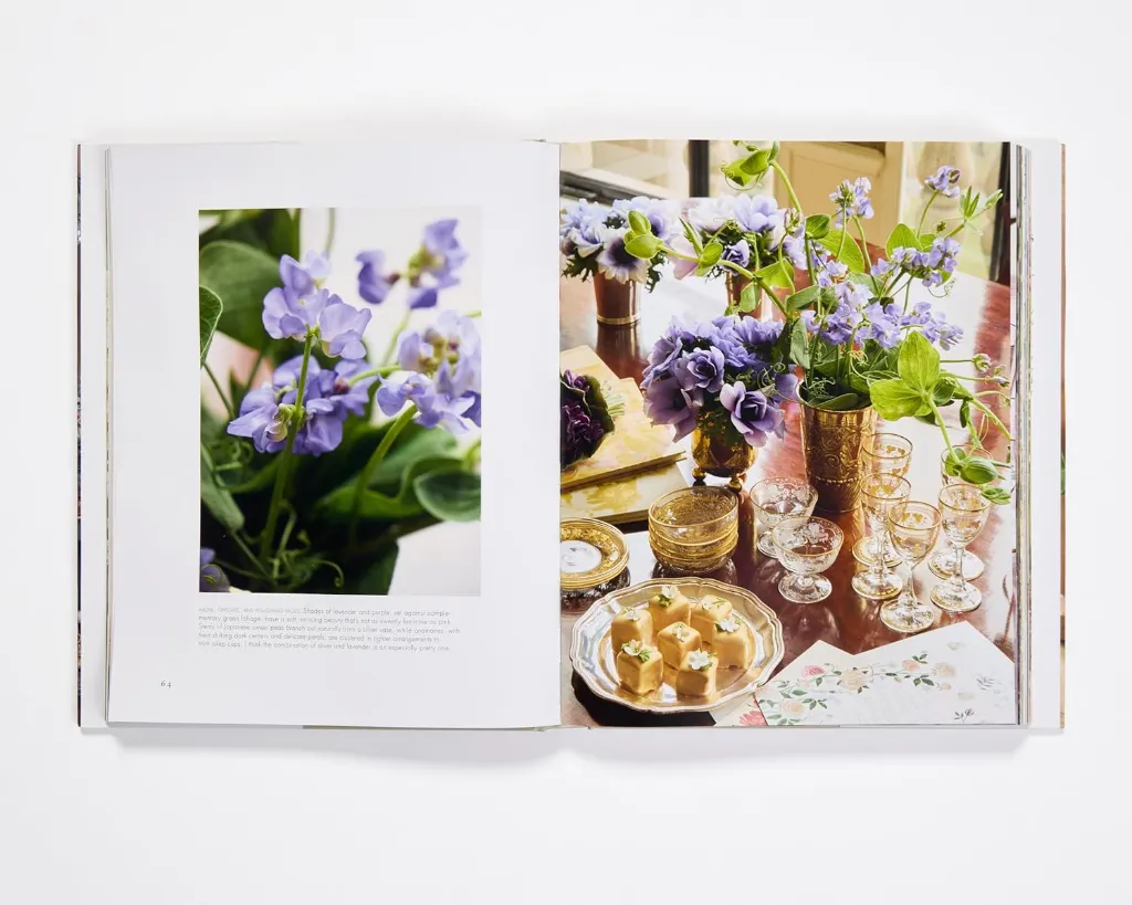 AERIN 2.webp