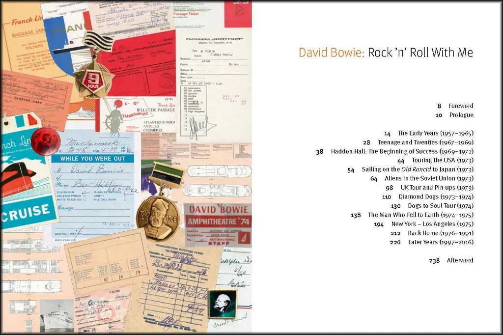 david 2.webp