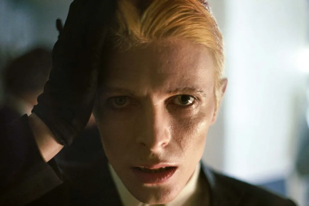 david 8.webp