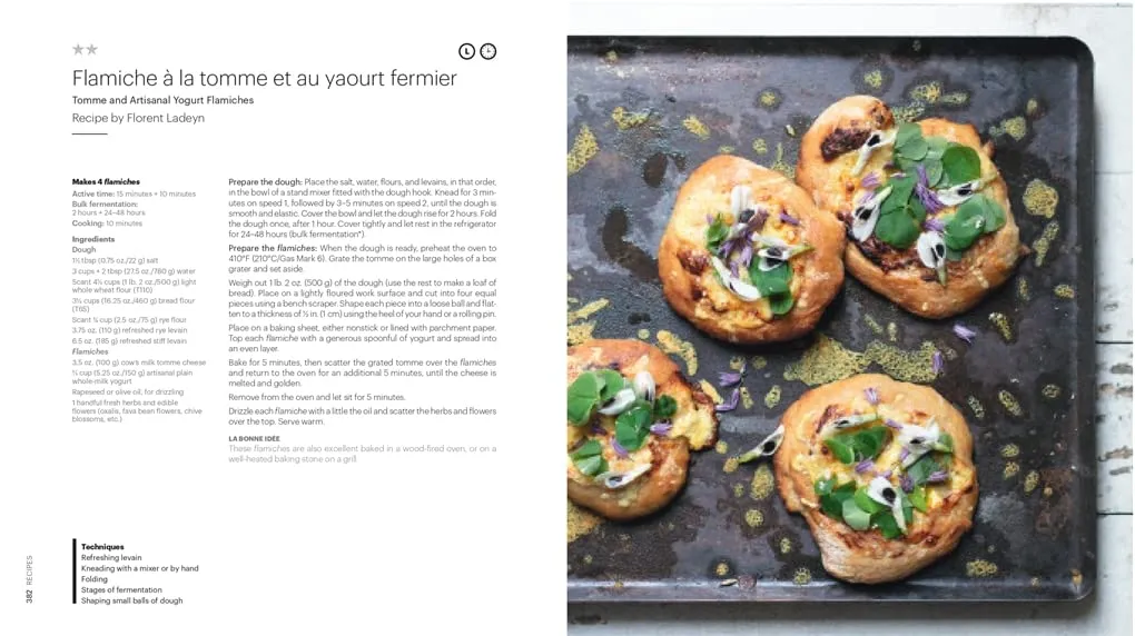 crust 1.webp