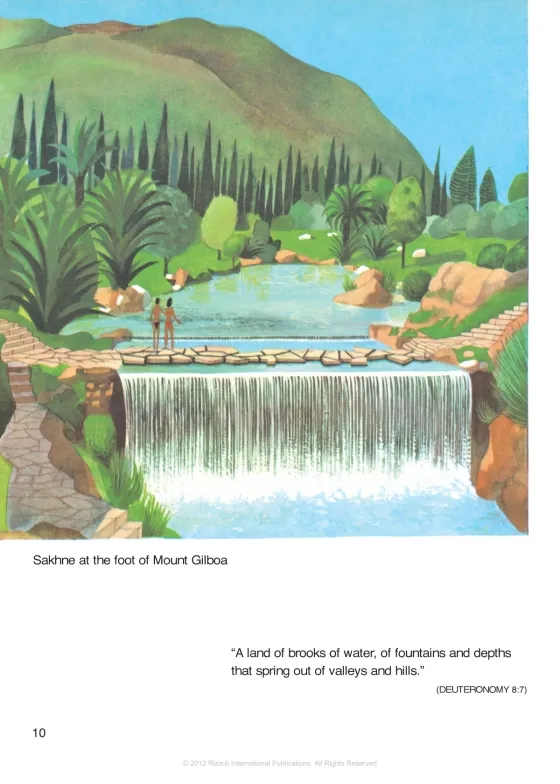 israel 11.webp