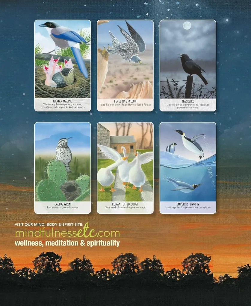 CARDS 5.webp