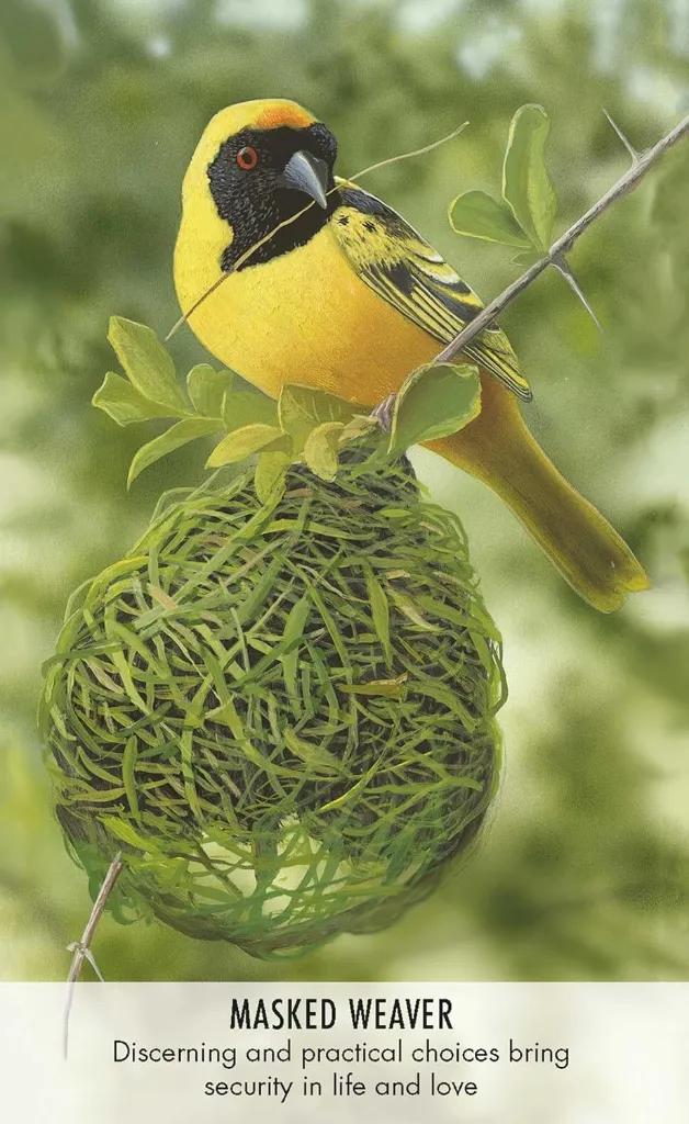 CARDS 4.webp