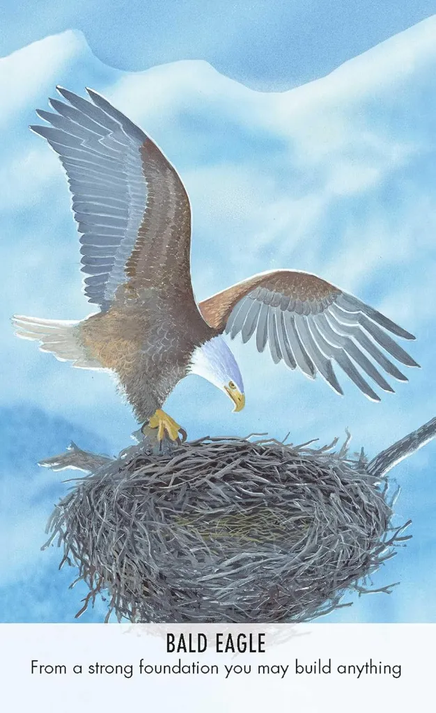 CARDS 3.webp