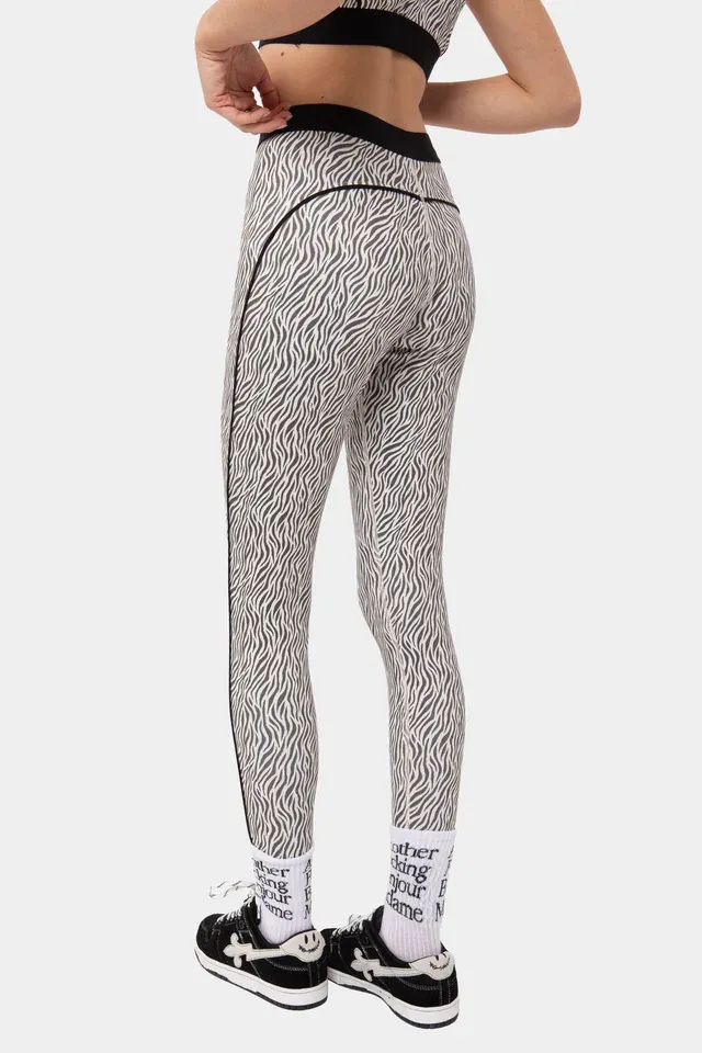 ZEBRA 3.webp