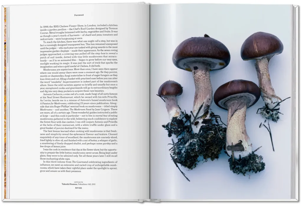 Mushroom 5.webp