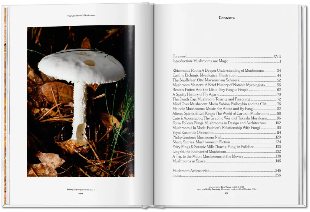 Mushroom 2.webp