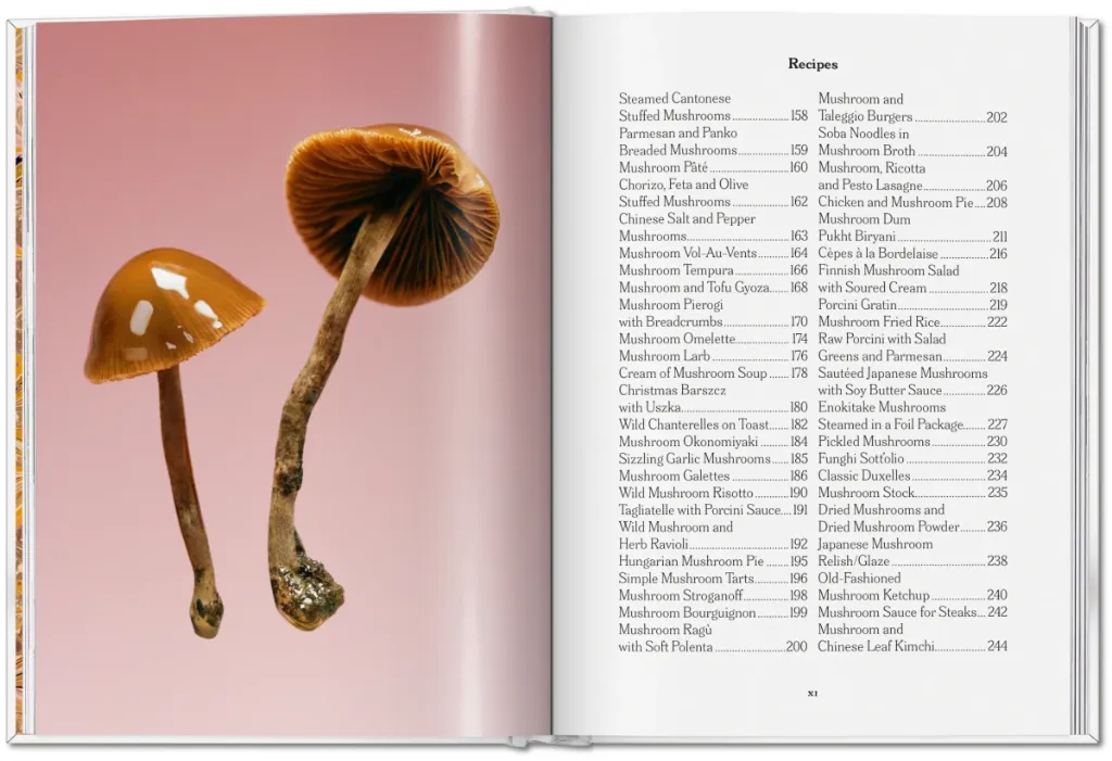 Mushroom 3.webp