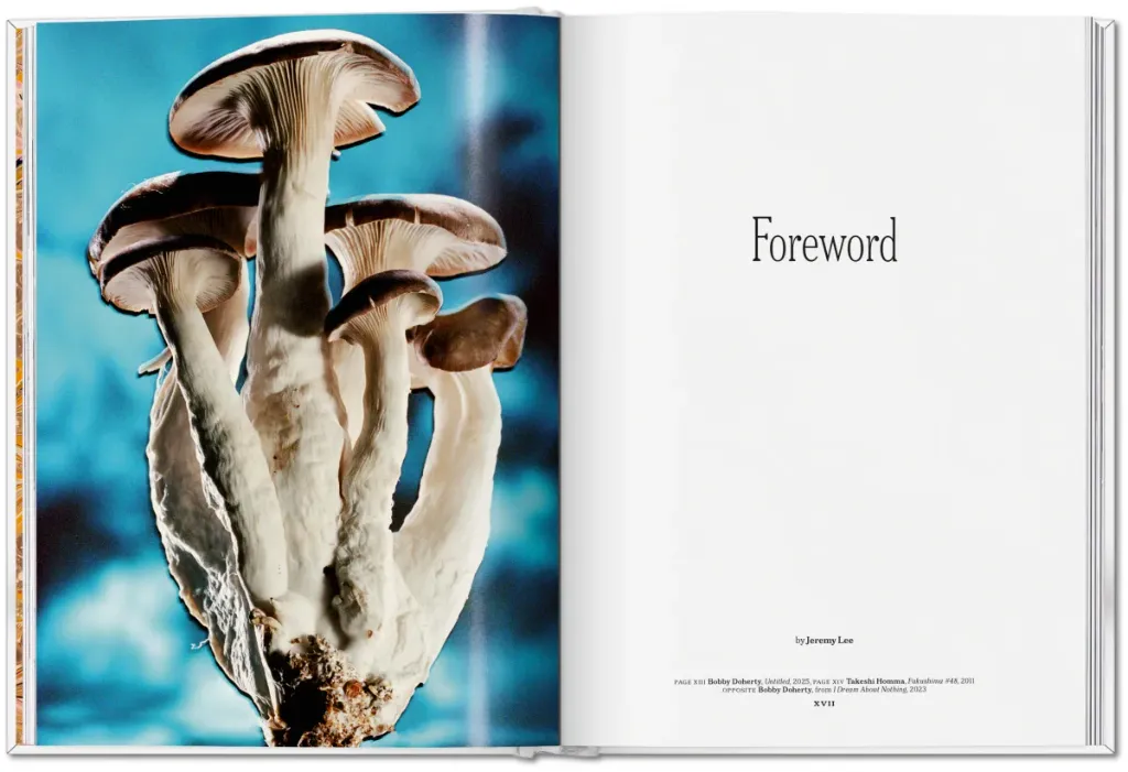 Mushroom 4.webp
