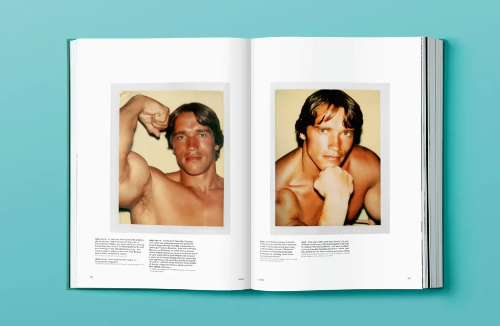 ARNOLD 5.webp