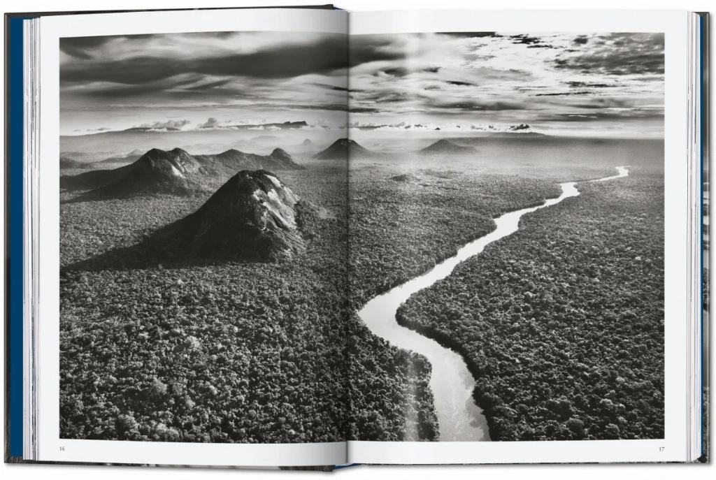 amazonia 1.webp