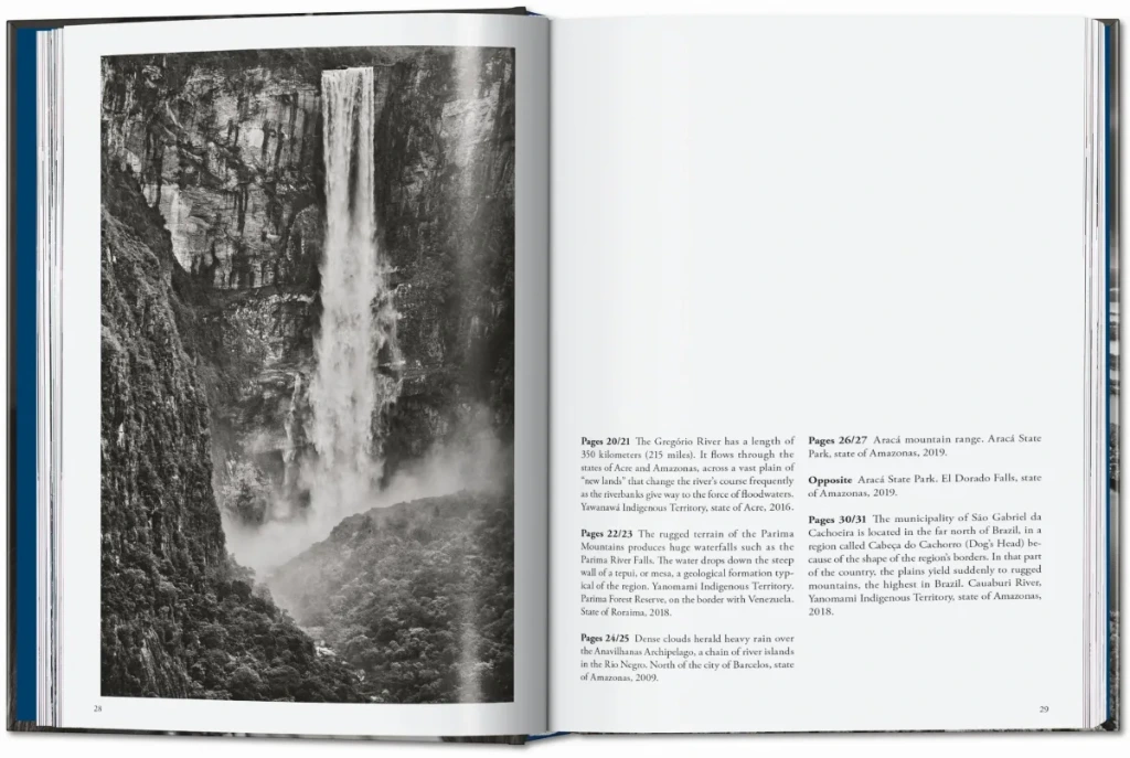 amazonia 2.webp