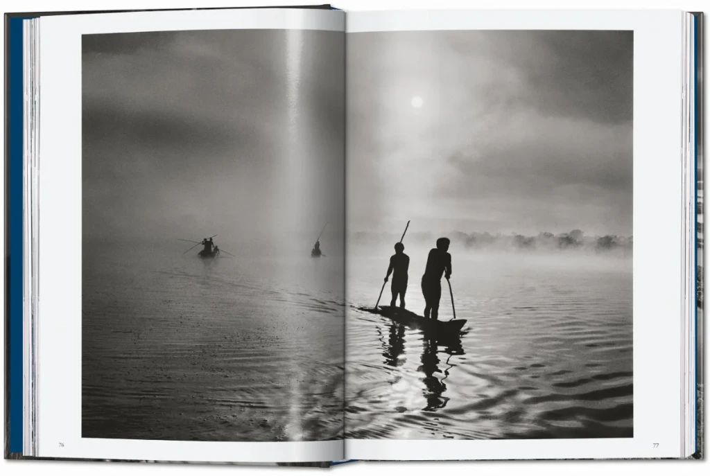 amazonia 3.webp