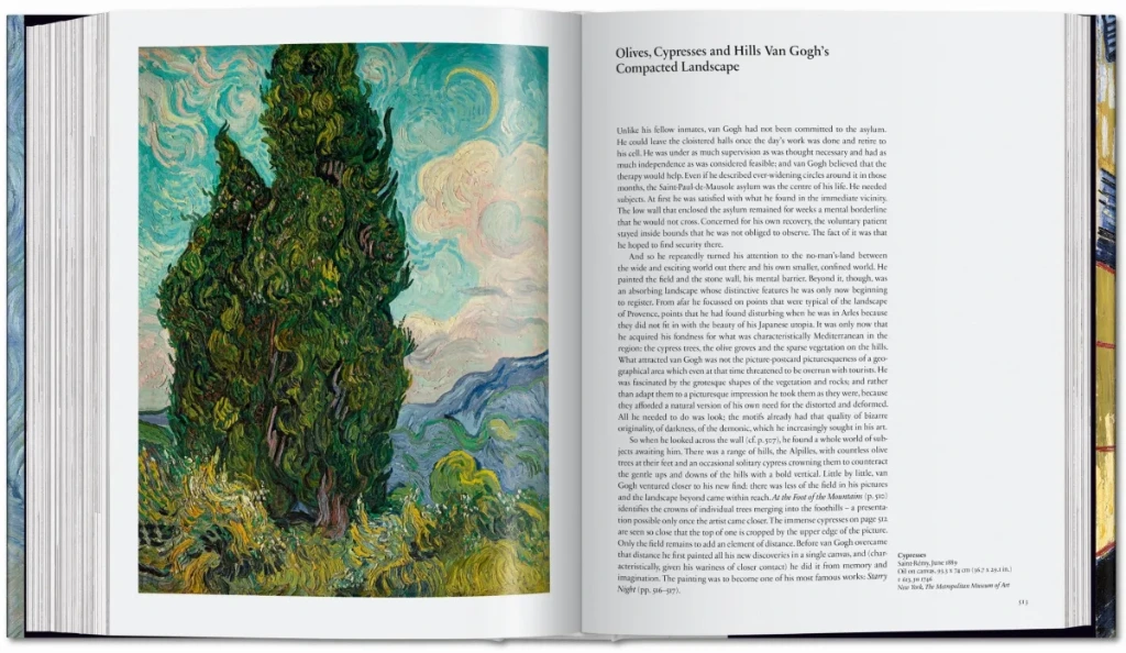 Van Gogh 5.webp