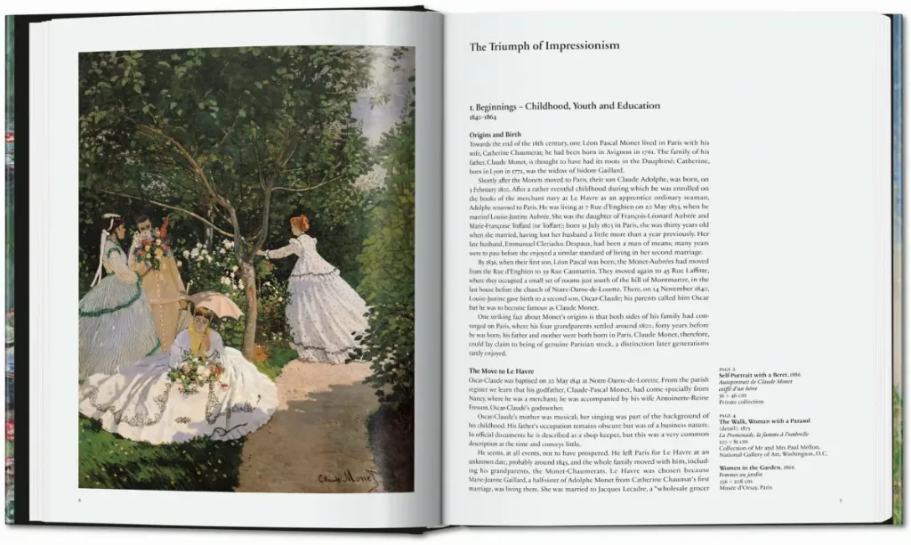 MONET 1.webp