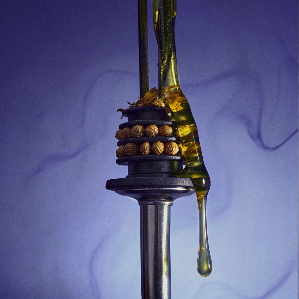 Home fragrance diffuser 02 WOODY Coriander seeds, honey, tobacco leaves 200 ml - BON PARFUMEUR