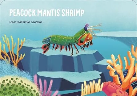 Under the Sea 2.webp