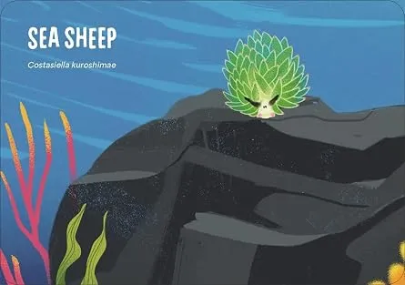 Under the Sea 3.webp