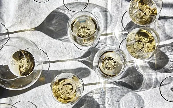 CHAMPAGNE 1.webp