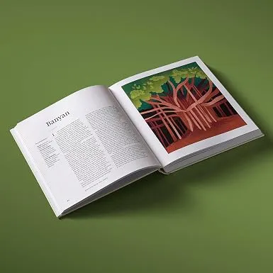 Medicine 2.webp