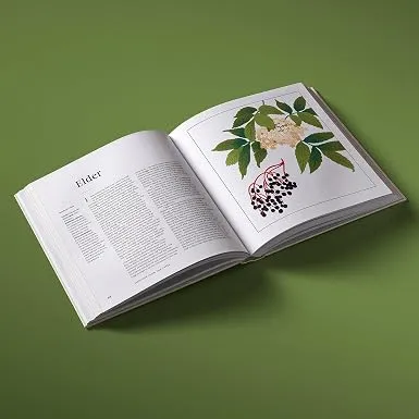 Medicine 3.webp
