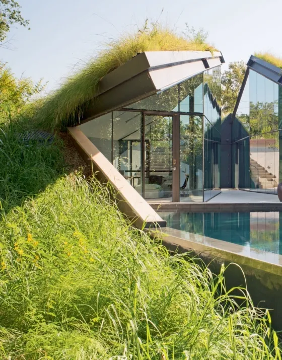 Green Roof 4.webp