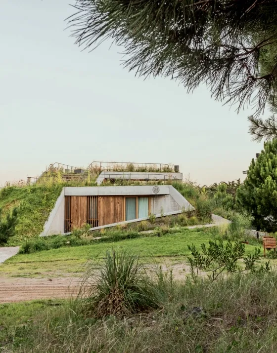 Green Roof 1.webp