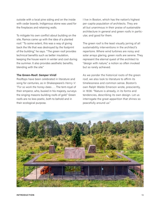 Green Roof 5.webp