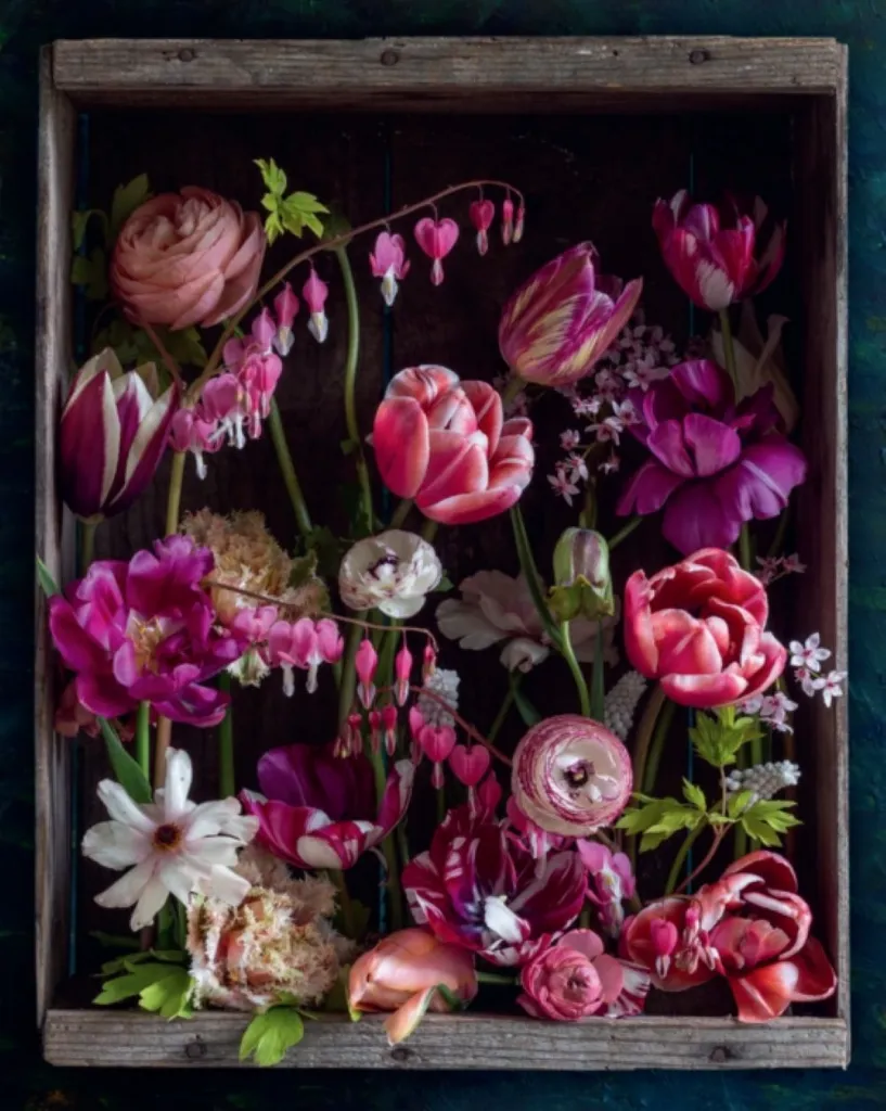 Flora Culture 3.webp