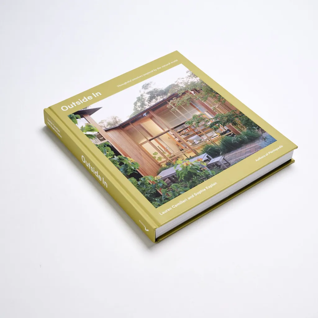 outside 6.webp