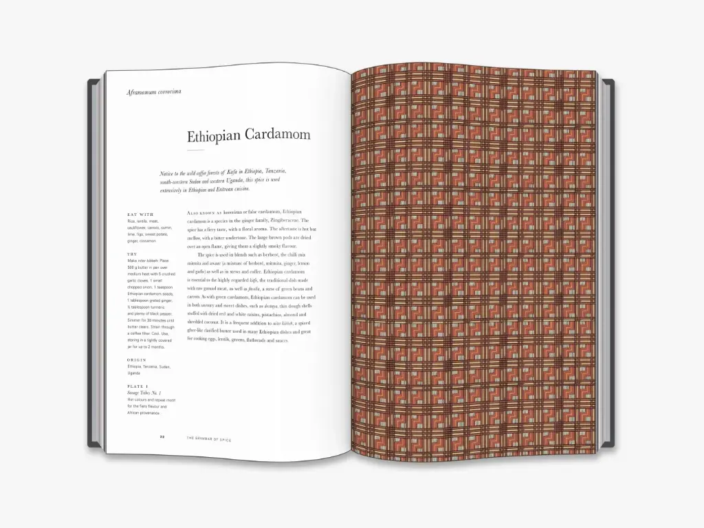 The Grammar of Spice - Hachette 