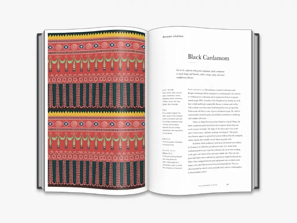 The Grammar of Spice - Hachette 