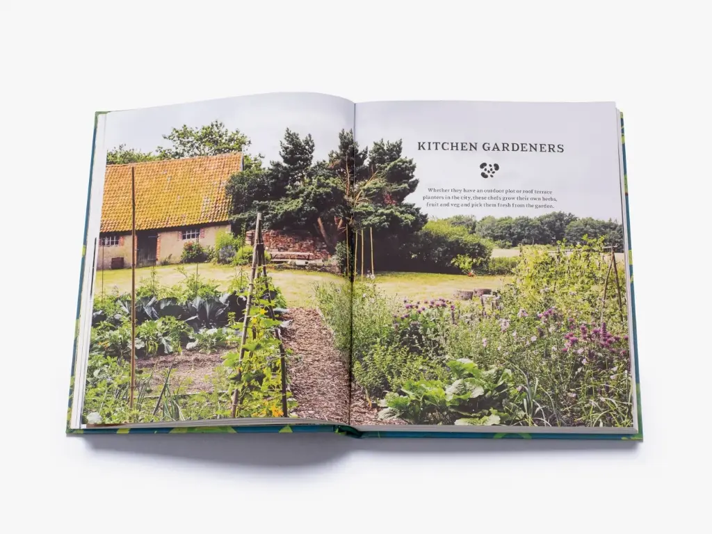 Wild Kitchen - Hachette