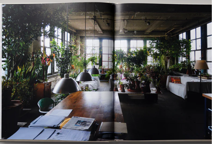 The Loft Law - Hachette