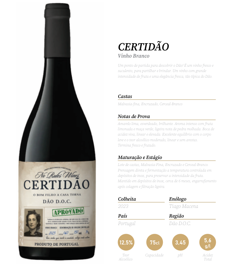 Certidão 2023 White