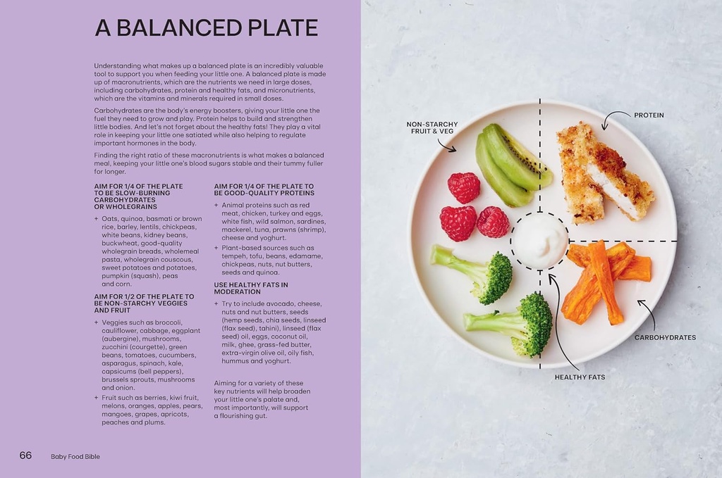 Baby Food Bible: A Nourishing Guide to Feeding Your Family, From First Bite and Beyond