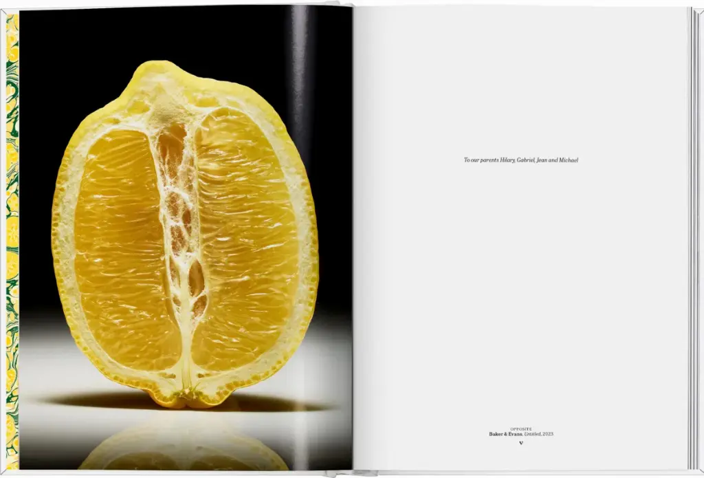 LEMON 2.webp