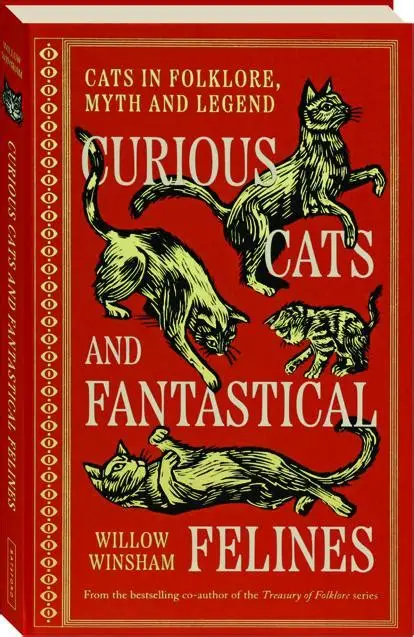 Curious Cats and Fantastical Felines