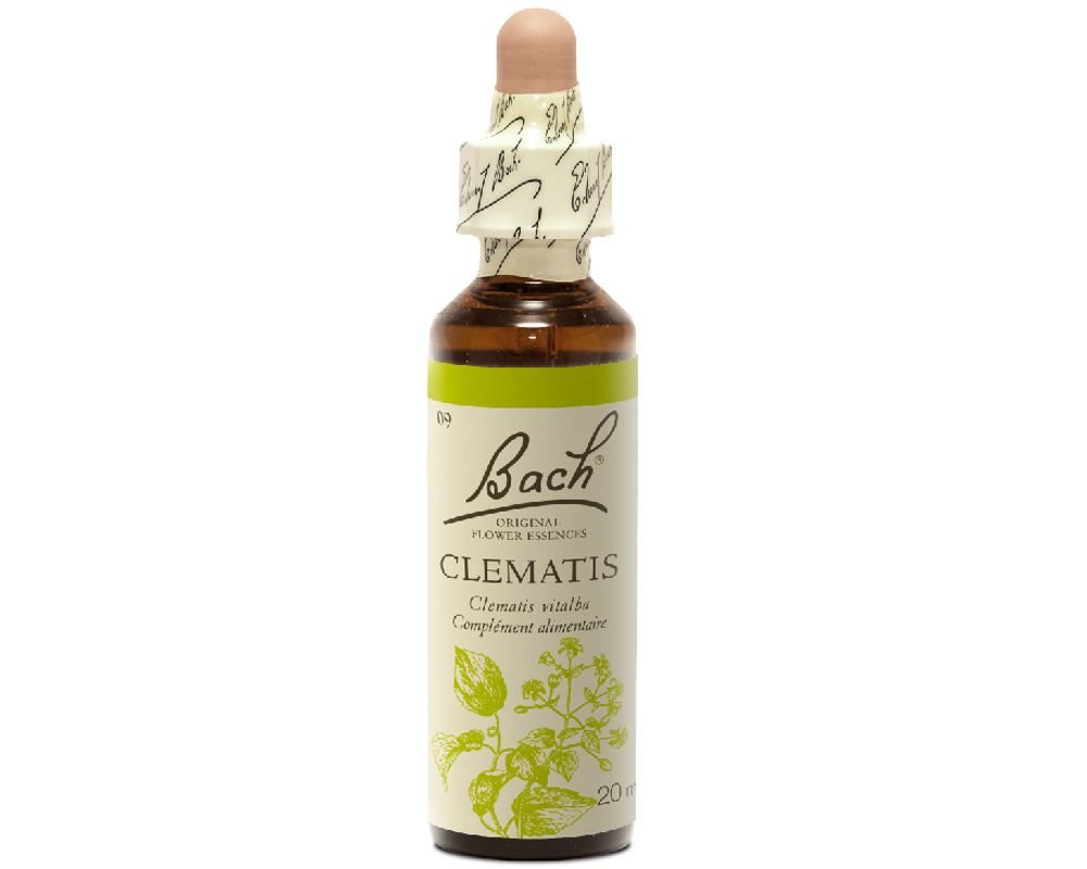 CLEMATIS No.9 - 20ml - BACH FLOWER