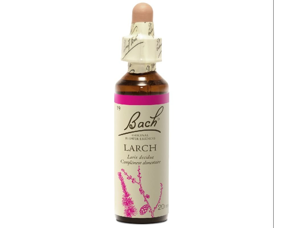 LARCH No.19 - 20ml - BACH FLOWER