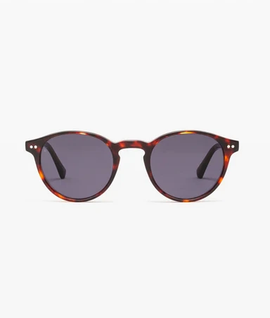 [P131-E61S] JIMMY FAIRLY - The CLOUD Tortoise