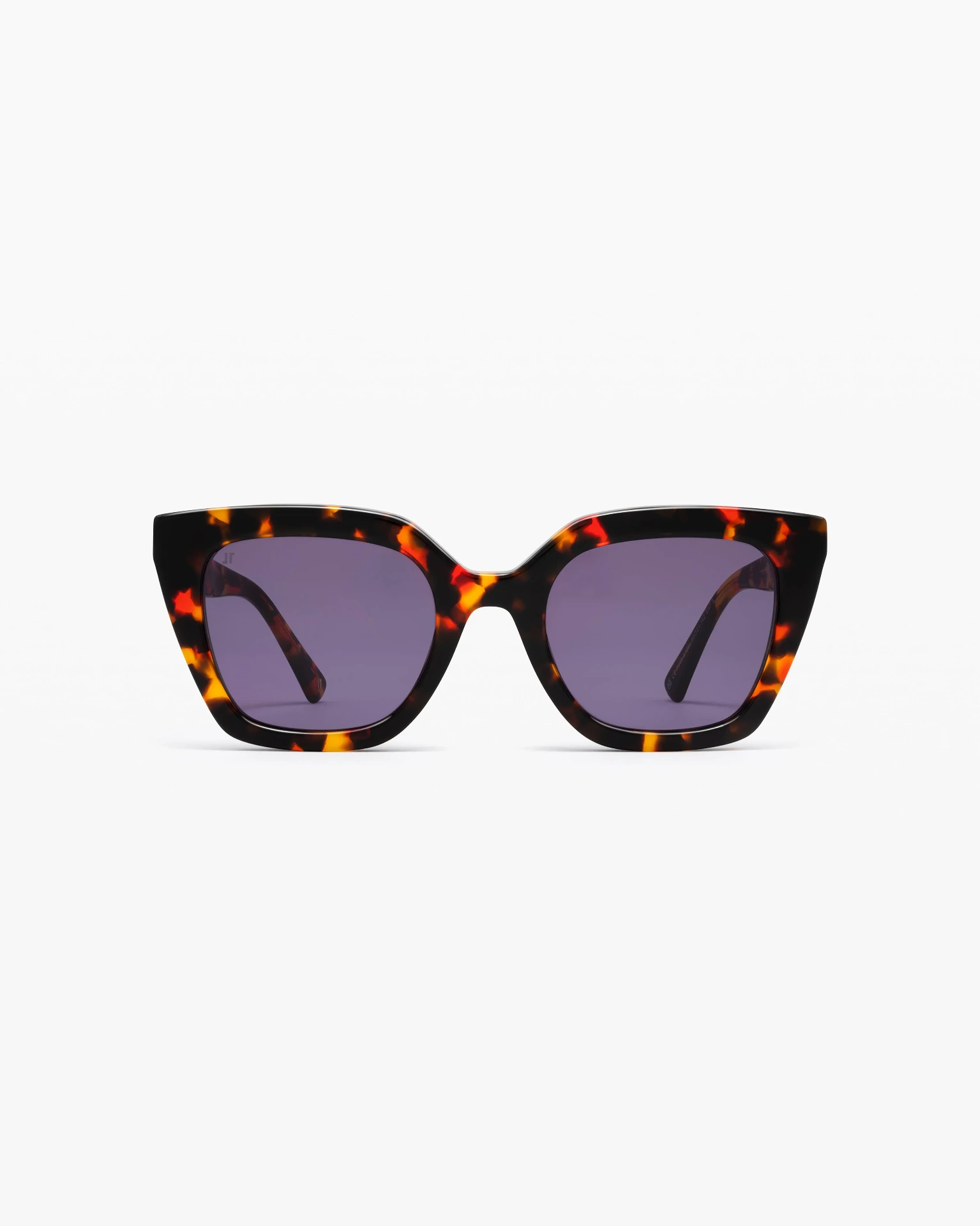 [P306-E129S] JIMMY FAIRLY - The WIND Tortoise