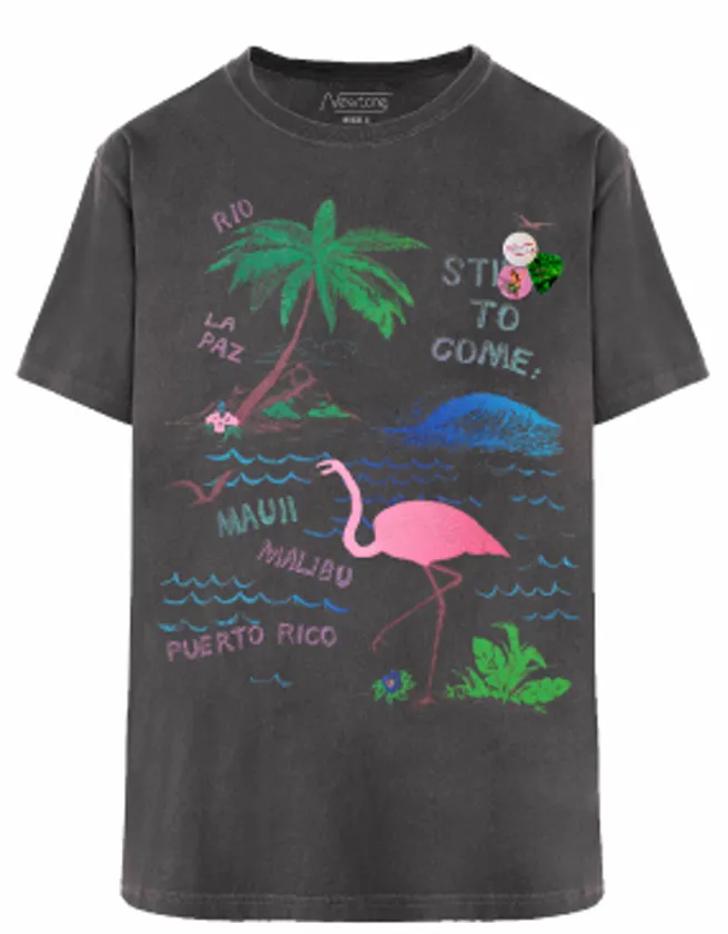 NEWTONE - T-Shirt Trucker Flamingo (1)