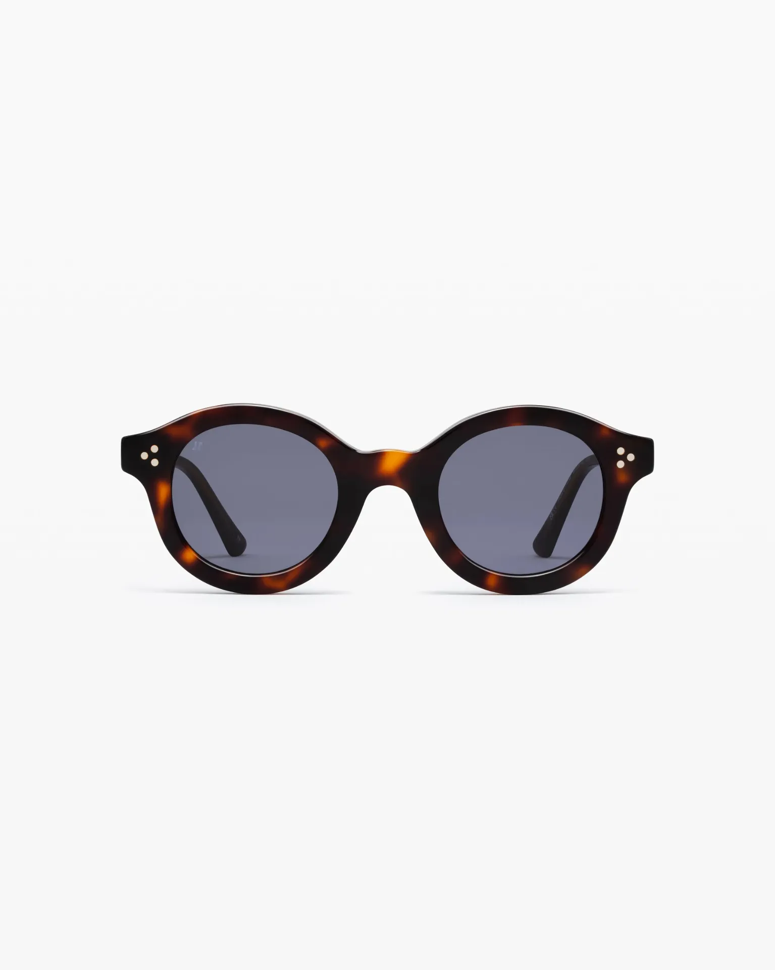 [P534-E174LES] JIMMY FAIRLY - The GIANNA Tortoise