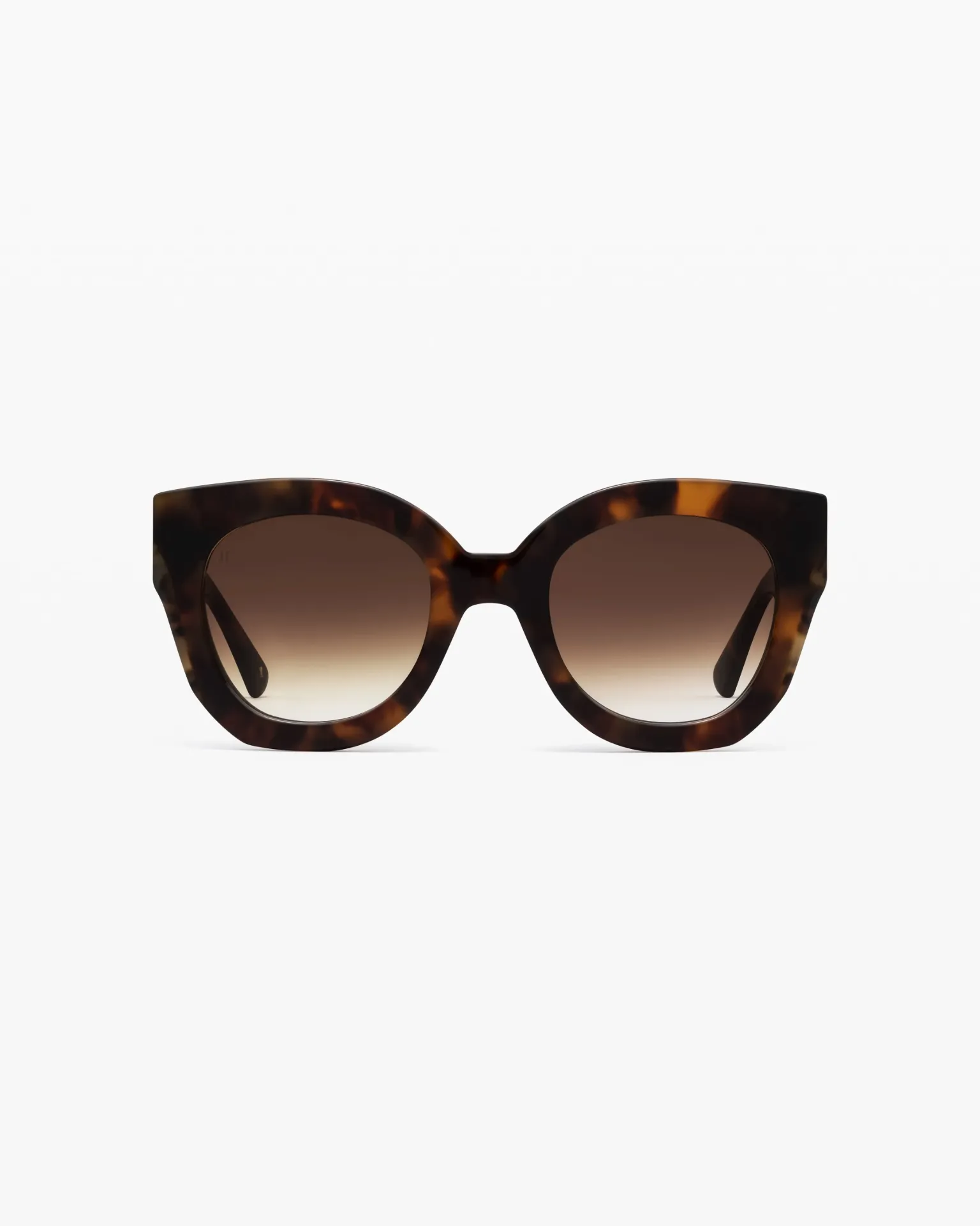 [P0737-H653ES] JIMMY FAIRLY - The SWIRL Tortoise