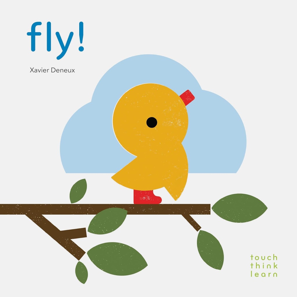 TouchThinkLearn: Fly! 