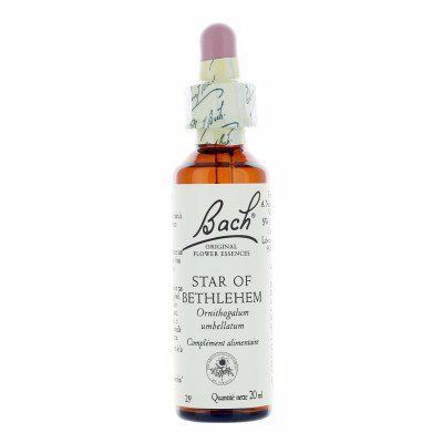 [BACH29] Star of Bethlehem No.29 drops 20ml - BACH FLOWER