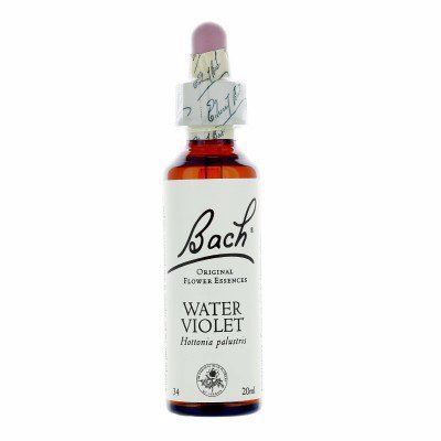 [BACH34] Water Violet No.34 drops 20ml - BACH FLOWER