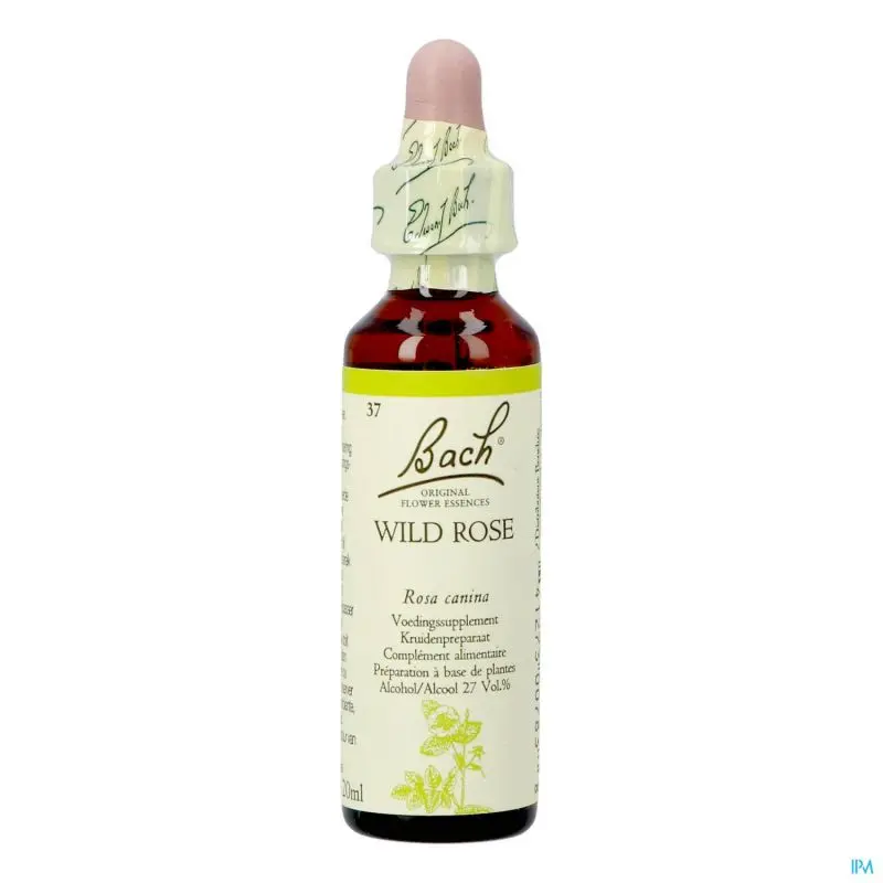 [BACH37] Wild Rose No.37 drops 20ml - BACH FLOWER